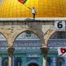 Фото профиля طائر الليل الحزين