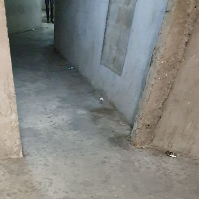 BruteCave's profile picture