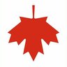 The Canadian Patriot profil fotoğrafı