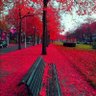 Фото профиля Cris