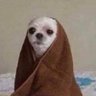 Barbaroviejo's profile picture