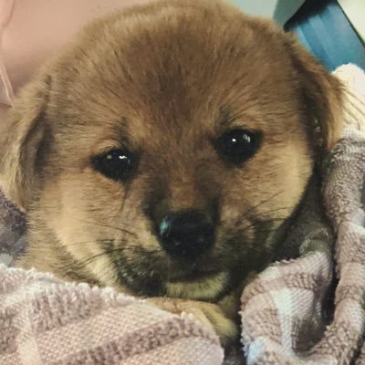 poprisun's profile picture