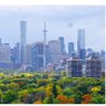 s_windsor1313 profil fotoğrafı