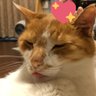 Profilbild von RYU