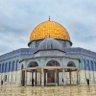 الحق الدامغ profil fotoğrafı