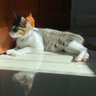 นอนค่ะนอน profil fotoğrafı
