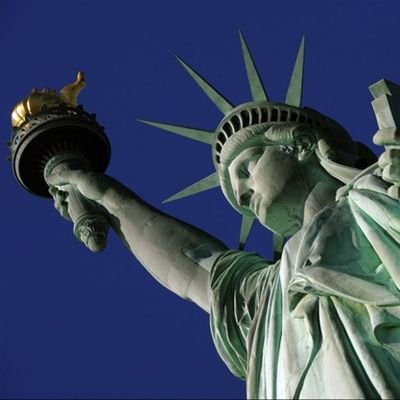 Liberaldig's profile picture