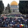 Фото профиля إكليلي إبراهيم