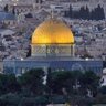 Ahmed shurrab 🇵🇸's profile picture