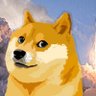 Фото профиля DOGEFEST