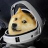 Profilbild von Pan Pes