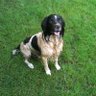 Old Boy Jonesy's profile picture