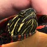 slowly we go's profile picture