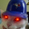 Profilbild von Calypso Ipso