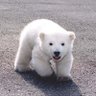 サイモン's profile picture