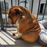 Chetchat's profile picture