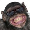 Implantable Micro-CHIMP profil fotoğrafı