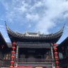 Ann Zhang's profile picture