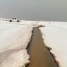 Фото профиля عبدالله السبيعي