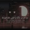 Ali Algaly's profile picture