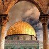 غَرزُ الفوائد profil fotoğrafı
