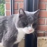 Stonks's profile picture