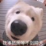 C’est La Vie 的头像