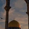 Profilbild von حفيد يوسف إبن تاشفين