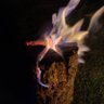 Фото профиля 投資でFIREマン(予定)