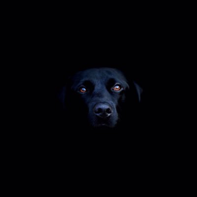 o_kilo_byte's profile picture