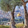 Фото профиля Abotabark Mahmoud