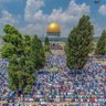 Aisenur BDK 🇹🇷🇵🇸 profil fotoğrafı