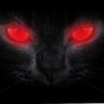 Black cat 🐈⬛ profil fotoğrafı