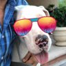 Фото профиля Sir Happy🐶Puppy ™️🇲🇽