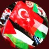 Berke profil fotoğrafı
