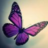 💜Mickia Endeira Major🦋 的头像