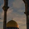 Profilbild von عبدالله مسعود