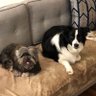 Profilbild von Coco and Stella