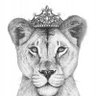 Verity Blue's profile picture