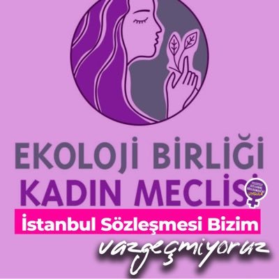 Ebkadinmeclisi's profile picture