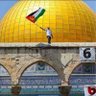 Profilbild von Free Palestine - Ceasefire NOW