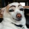 bald9eekh's profile picture