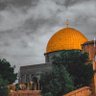 Фото профиля أحمد بن سعود