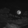 baby_wzard_1605's profile picture