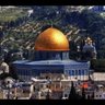 Фото профиля alsaadi