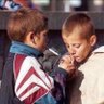 v.De Paar profil fotoğrafı