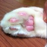 Фото профиля 猫球@戦争する国絶対反対!