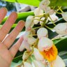 Lily's profile picture