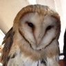 虚空 profil fotoğrafı