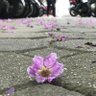 Фото профиля neene'☔️